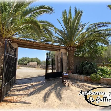 Agroturismo Es Gallicant Campos  Exterior photo